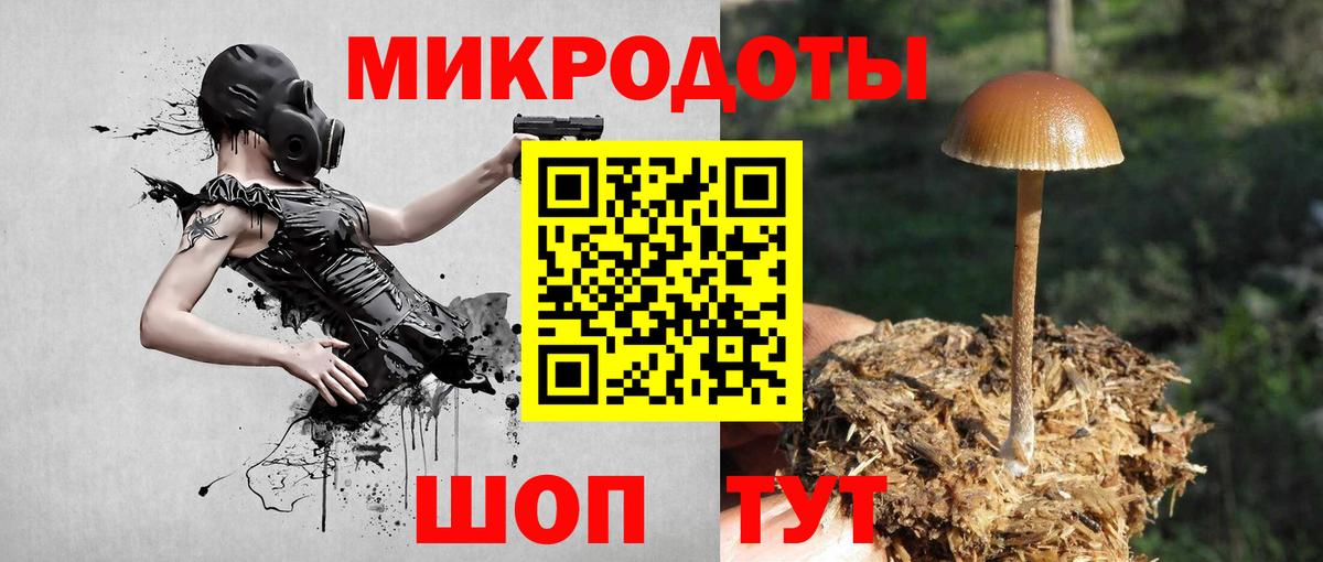 Галлюциногенные грибы мицелий Камышин