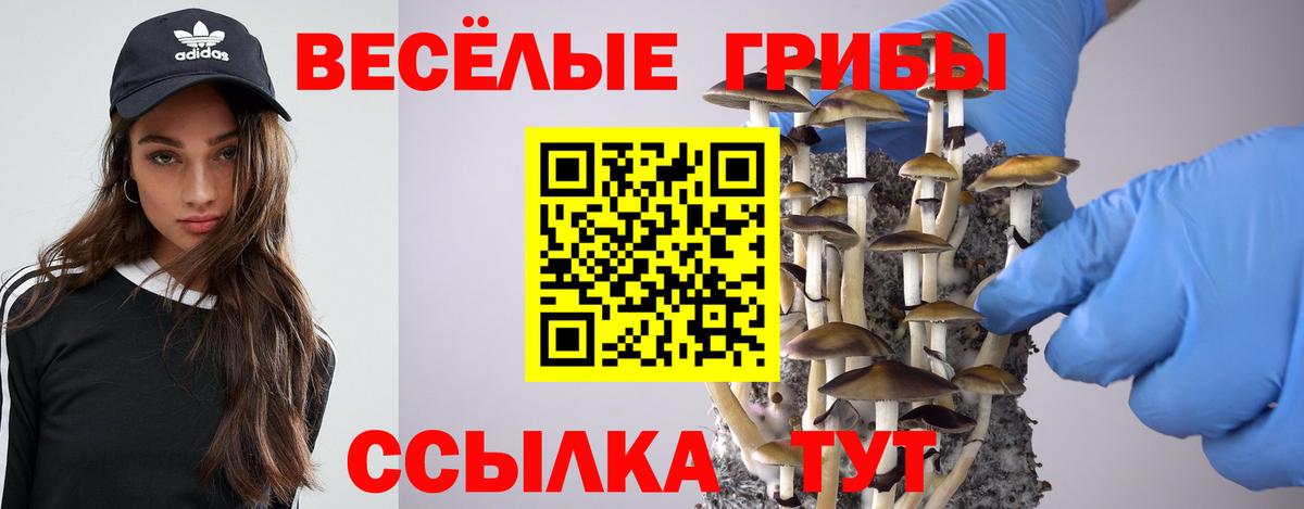 Галлюциногенные грибы ЛСД  Вход с VPN  Камышин 